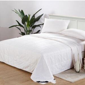 LilySilk 100% Silk Duvet/Comforter, White, for Four Season Machine Washable King